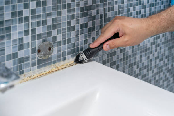 Best Best Mold Removal Companies  in Logansport, LA