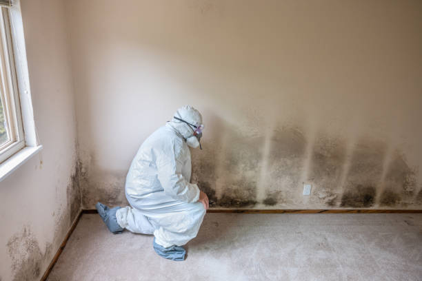 Water Damage Restoration in Logansport, LA